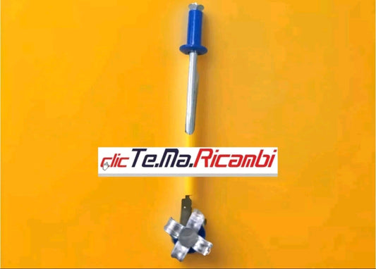 200 Rivetti targa europea blu- bianchi 4,8x12