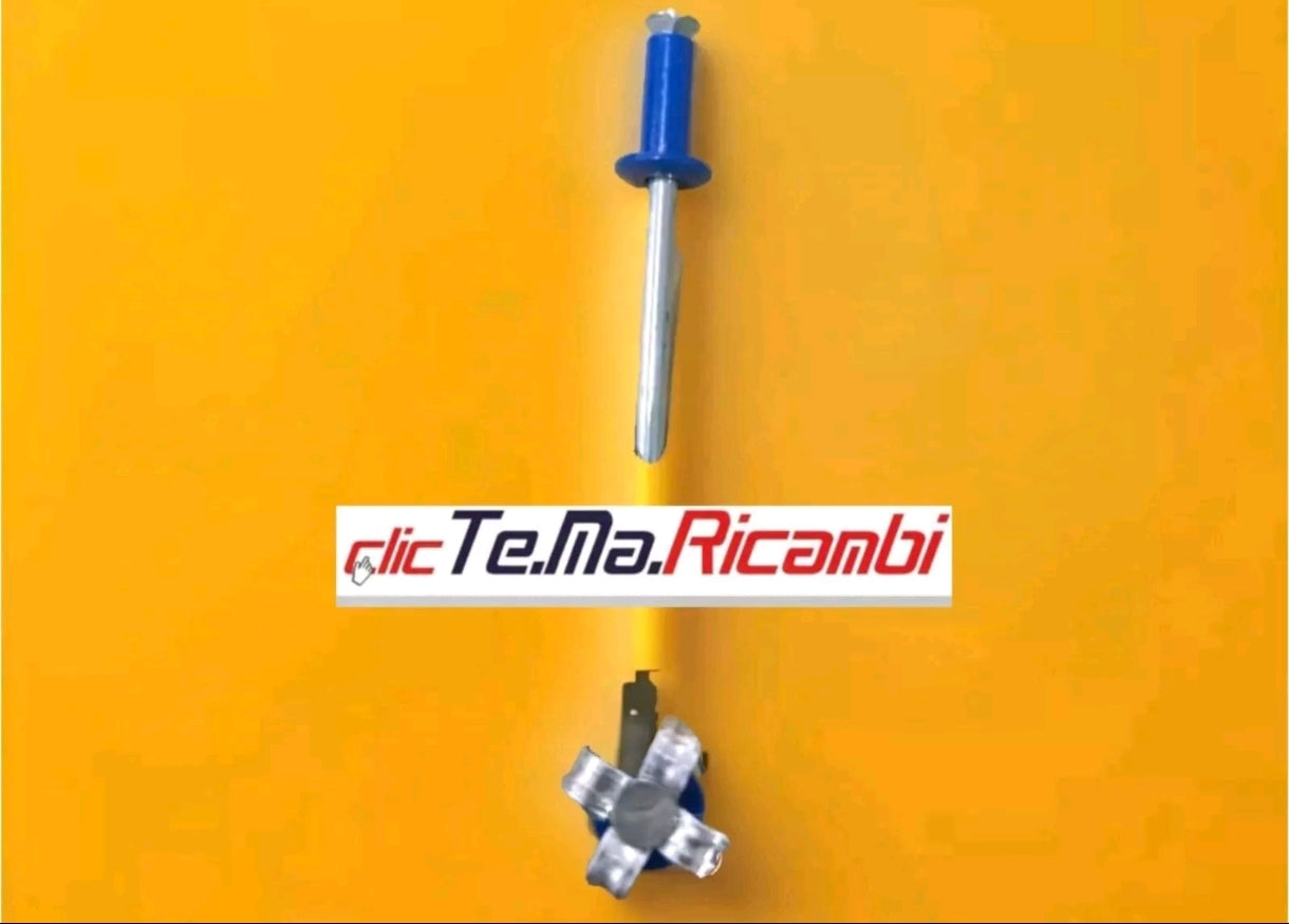 200 Rivetti targa europea blu- bianchi 4,8x12